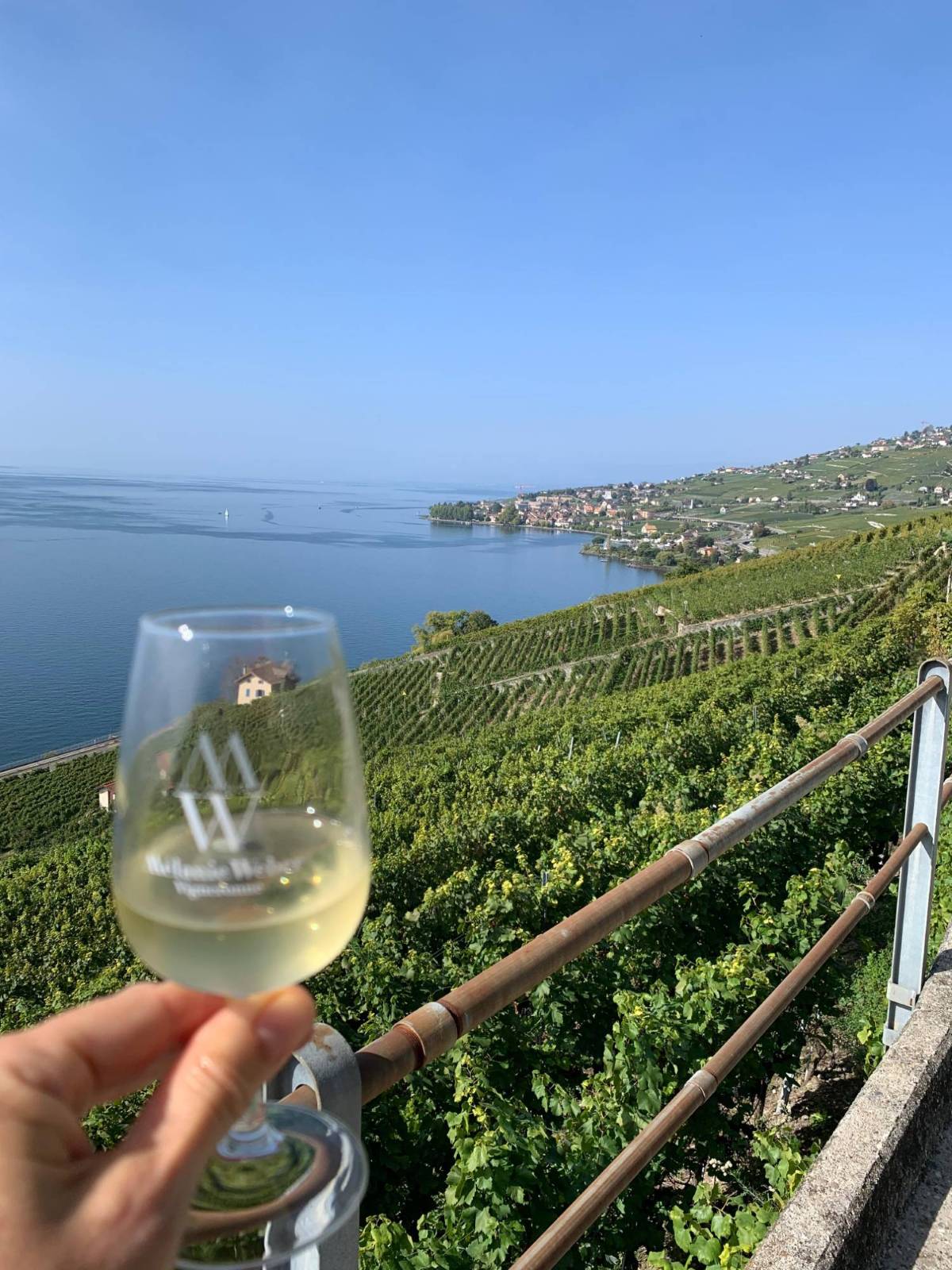 Degustation caveau - Mélanie Weber Vins - Vigneronne indépendante à Cully