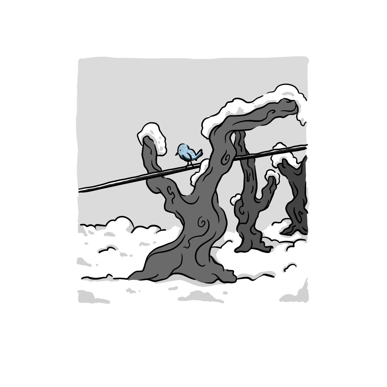 solstice d'hiver fête de la neige - Mélanie Weber Vins - Vigneronne indépendante à Cully