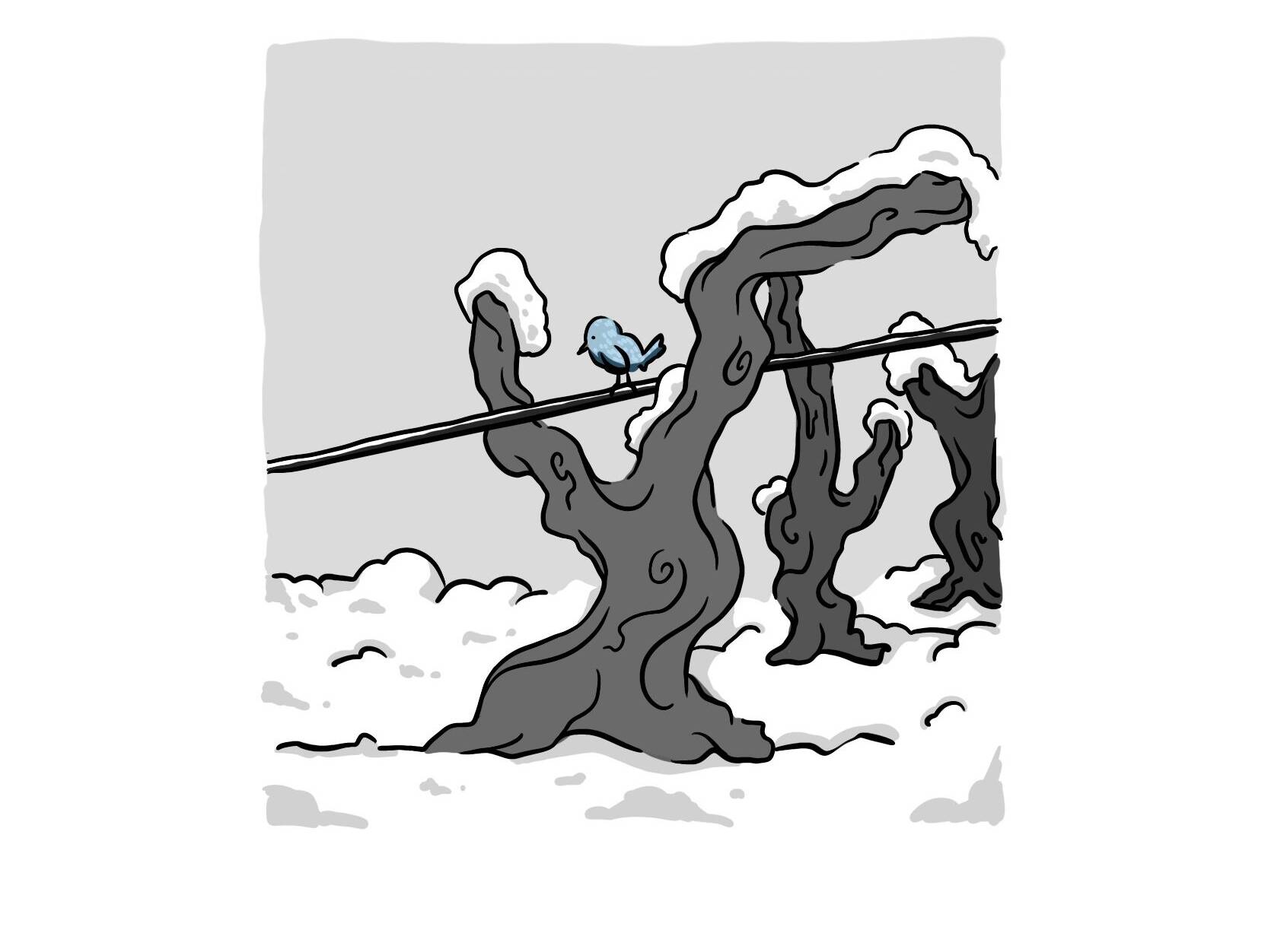 solstice d'hiver fête de la neige - Mélanie Weber Vins - Vigneronne indépendante à Cully