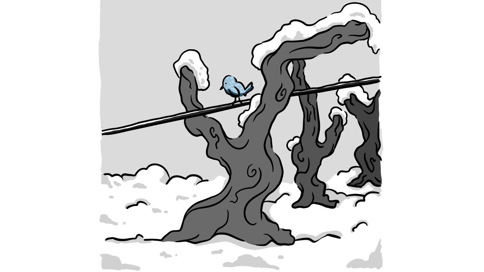 solstice d'hiver fête de la neige - Mélanie Weber Vins - Vigneronne indépendante à Cully